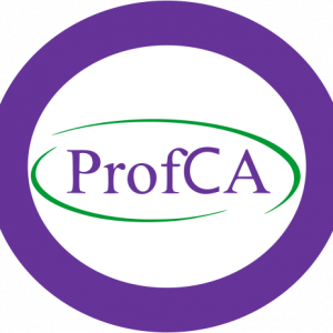 Bronze Training Provider